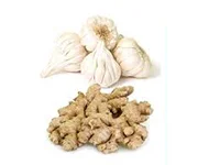 Ginger & Garlic