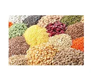 Seed Items